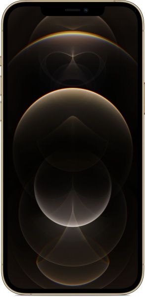 Смартфон Apple iPhone 12 Pro Max 256GB gold (MGDE3FS/A)