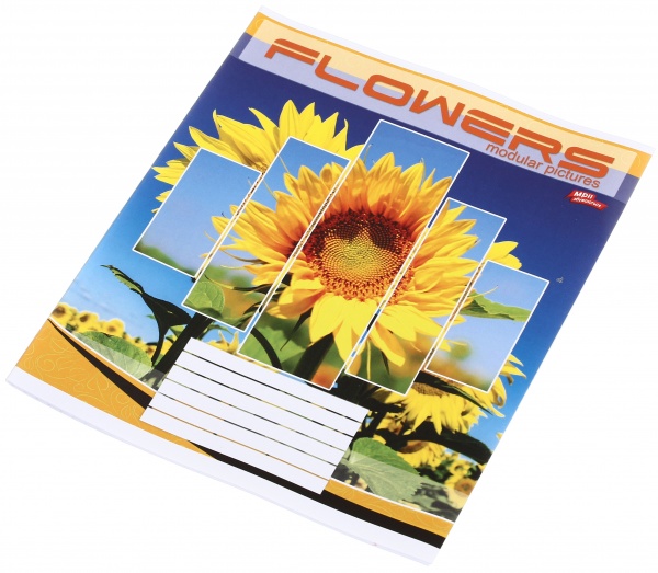 Зошит шкільний 24 аркуша у клітинку в асортименті Мрії збуваються