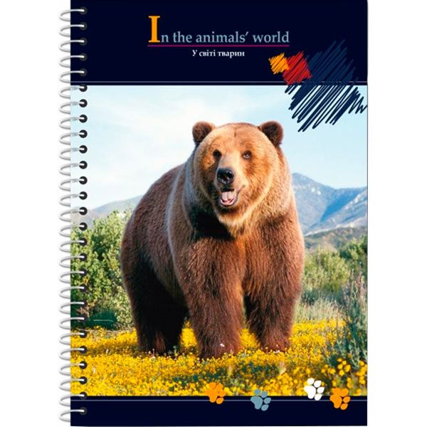 Блокнот А6 48 л E20319-99 Economix