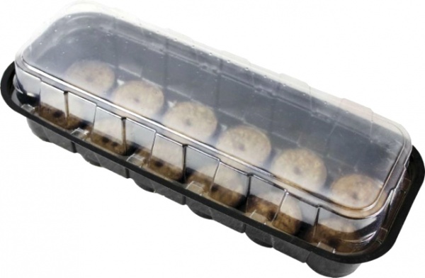 Міні-парник з таблетками 12