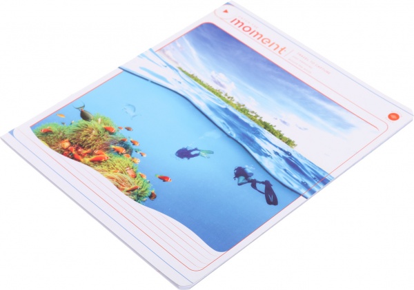 Тетрадь школьная 24 листа в линию УФ-лак в ассортименте