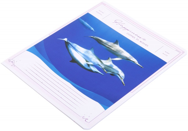 Тетрадь школьная Tadward коса