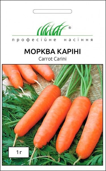 Семена Професійне насіння морковь Каріні 1г