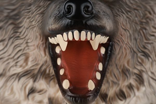 Іграшка-рукавичка Same Toy Вовк X318UT