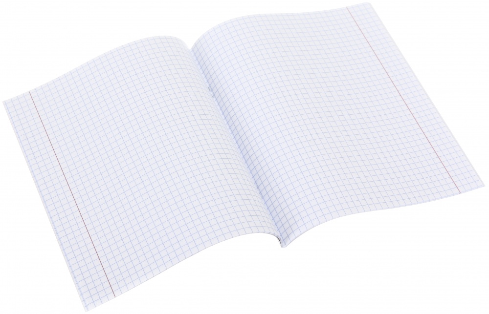 Тетрадь школьная 24 листа клетка економ 2024 Nota Bene