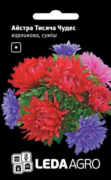 Семена LedaAgro астра карликовая Тысяча Чудес смесь 0,2 г (4820119793312)