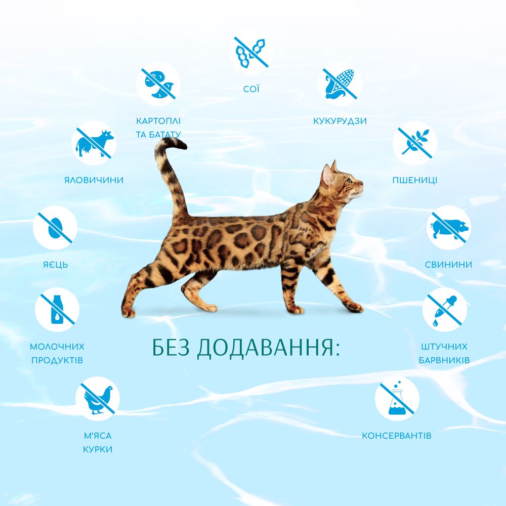 Корм сухий для дорослих котів. Optimeal Б`ЮТІ ПОДІУМ. Блискуча шерсть та догляд за зубами. 1,5 кг