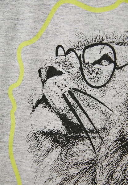 Футболка для хлопчиків Роза р.146 меланж 210104 