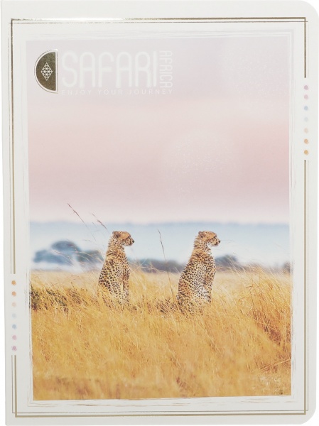 Книга для записей 80 листов А5