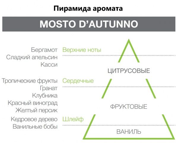 Аромадифузор Hypno Casa Orchidea Mosto D'autunno 100 мл 