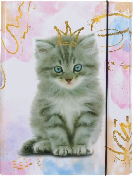 Папка для зошитів папка для зошитів на резинці Cat Princess, 200х250 мм, PP-покриття