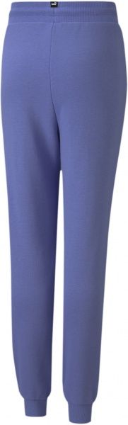 Штани Puma Rebel Sweatpants 58616014 р. 176 фіолетовий