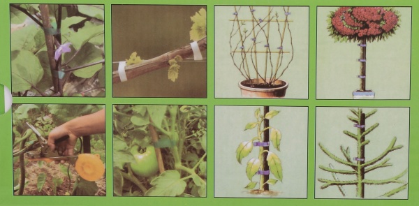 Степлер садовый PTTVK09