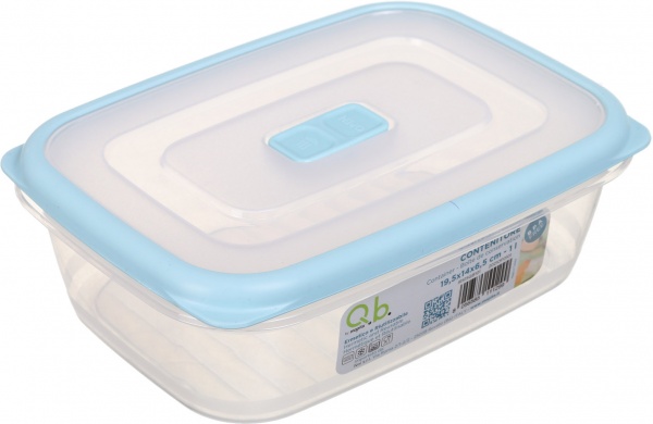 Контейнер 19,5х14х6,5 см в ассортименте IRS15QB101 Eurogold