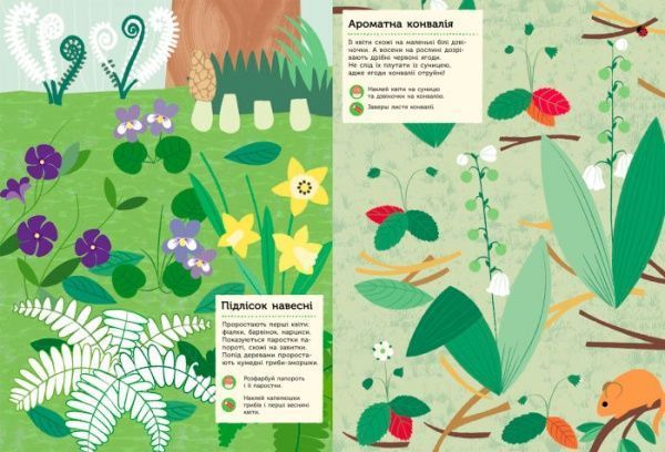 Книга «Моя книга природы: В лесу» 978-617-09-4097-1