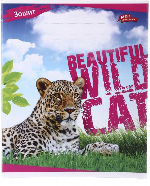 Зошит шкільний 12 аркушів у лінійку дизайн в асортименті Мрії збуваються