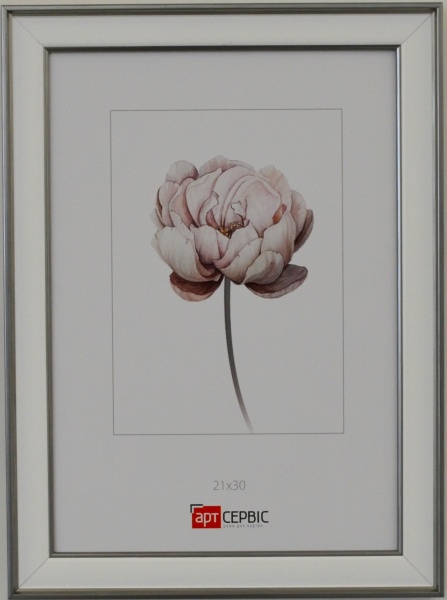 Рамка для фото Арт-Сервіс ЭА-01812 1 фото 21х30 см серебристый металлик 