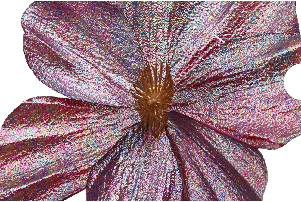 Квітка декоративна пуансетія / магнолія 24-27 см пурпур