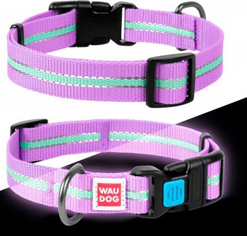 Нашийник WAUDOG Nylon світлонакопичувальний 1,5х23-35 см фіолетовий