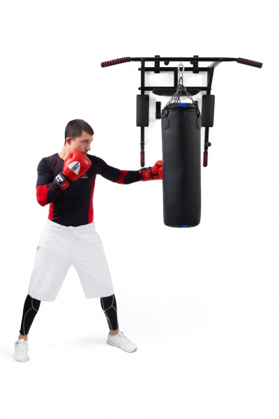 Турнік-бруси настінний PLENERGY TRPL03-BK Home 5 в 1 чорний 110 см