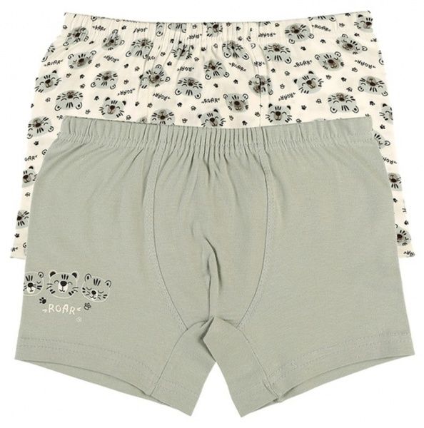 Труси для хлопчика DONI 7571907RA р.122-128 в асортименті 