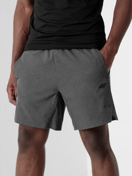 Шорты 4F D4Z21-SKMF200-23M р. XL серый