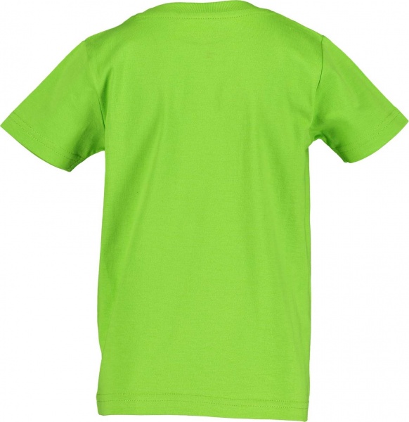 Футболка детские Blue Seven р.110 зеленый 802227 X_714_р.110 