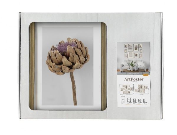 Набор галерейный Art Poster AP10-003 сухостой SvitArt 