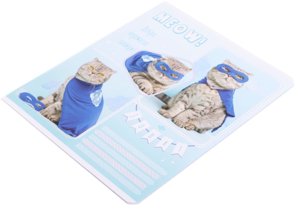 Тетрадь школьная Tadward коса