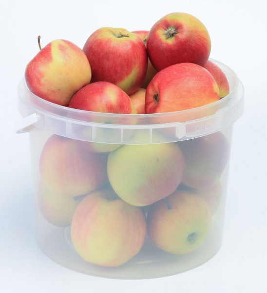 Відро Poliplast з пластиковою ручкою (харчовий пластик) 5 л прозорий 