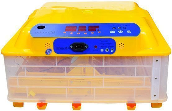 Инкубатор Инкубатор автоматический MS-56