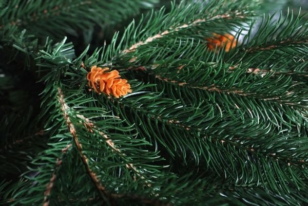 Елка искусственная Полина 2.2 м литая зеленый 