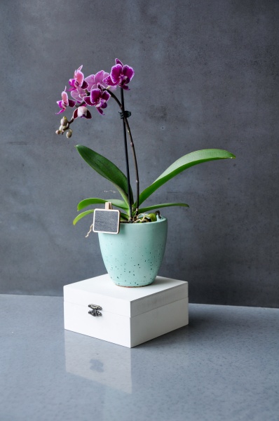 Кашпо декоративне Ellipsoid бірюзовий бетон