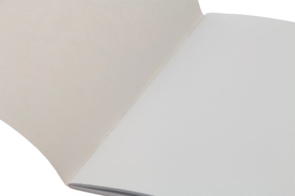 Альбом для рисования А4 20 листов на скобе Mandarin