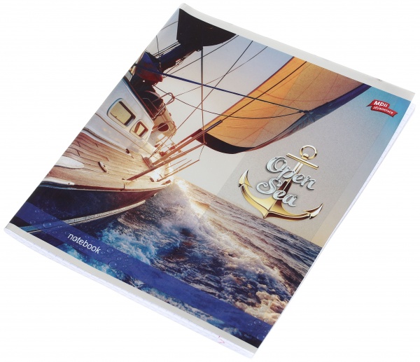 Тетрадь школьная серебро 4 листов в клеточку в ассортименте Мечты сбываются