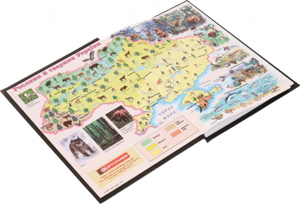 Щоденник шкільний Dragon Nota Bene