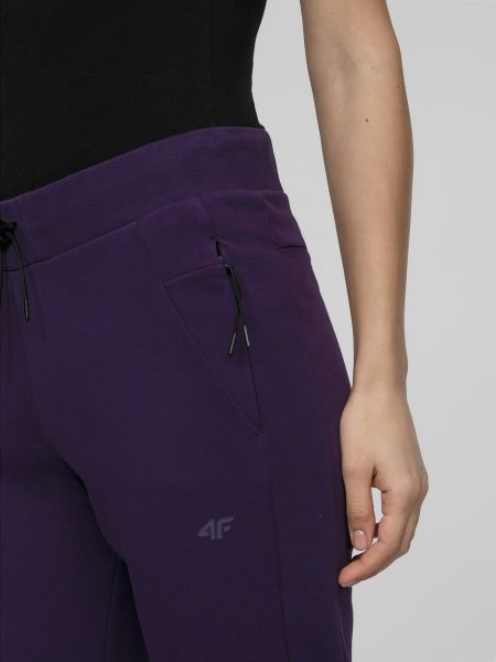 Брюки 4F D4L21-SPDD210-50S р. XL фиолетовый