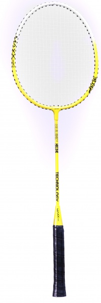 Набор для бадминтона MaxxPro BDDMP-303 желтый 