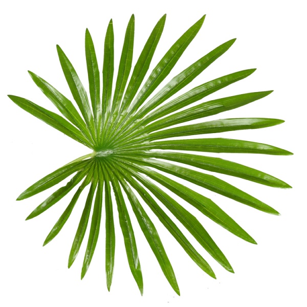 Дерево искусственное Fan Palm (DW-27) Engard