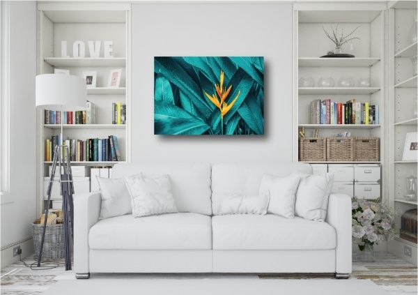 Постер Папороть Posterclub 