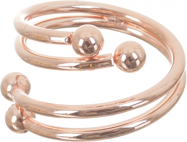 Набір кілець для серветок Golden Branch 6 шт