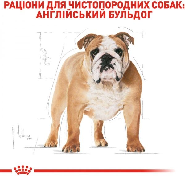 Корм Royal Canin для собак BULLDOG ADULT 12 кг