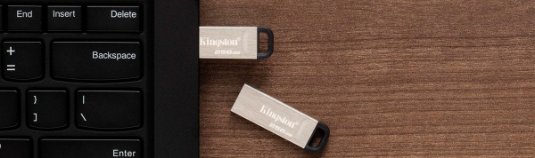 Флеш-пам'ять USB Kingston DataTraveler Kyson 256 ГБ USB 3.2 silver (DTKN/256GB) 