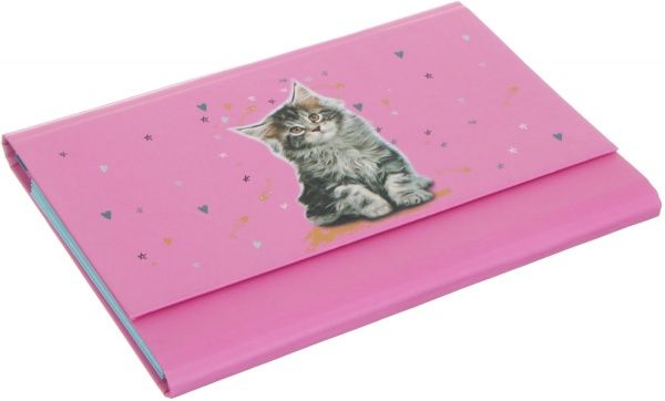 Папка-клатч Cat 1 А5 розовый