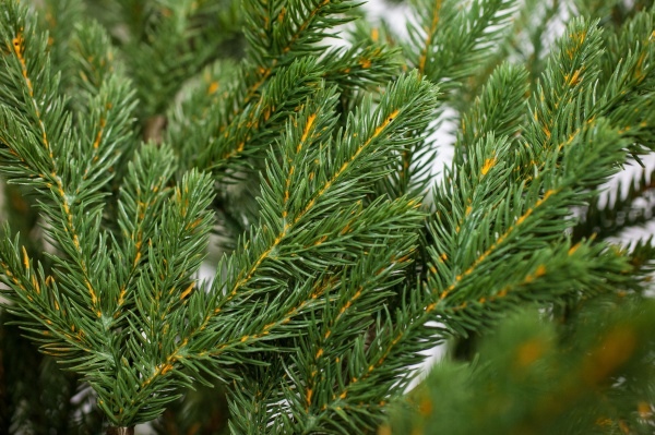 Искусственная елкаКарли-240 зеленый 