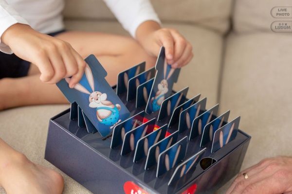 Игра настольная Ludum Хватай и тяни LG2047-51