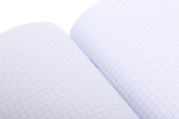 Тетрадь школьная уф-лак 36 листов в клеточку в ассортименте Мечты сбываются