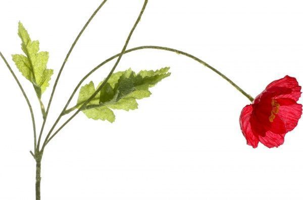 Растение искусственное Мак 1545 RED