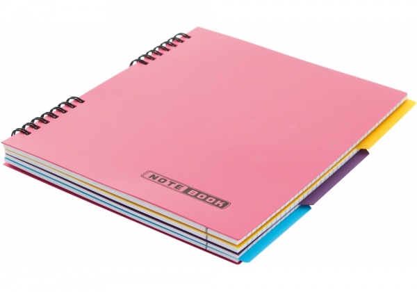 Блокнот евроспираль 120 листов E20225 Economix