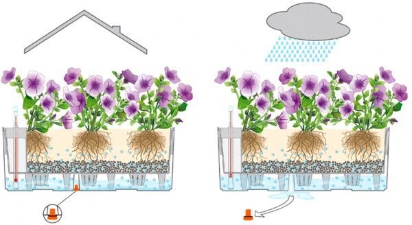 Ящик балконний Lechuza Balconera Cottage 50 15605 прямокутний 18,1л мокко 